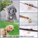 ���q�D �� �v ������� �L �y�� �{�v ���� ���U�[ �h�b�O�^�O �y�b�g �l�[���^�O �}�[�N �V���G�b�g ��t�t�� �֘A�摜1
