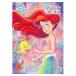 [5 шт. до почтовая доставка OK] Showa Note little * русалка Ariel искусство раскрашенные картинки Mini письмо комплект есть B5 размер B5 раскрашенные картинки покрытие .500-4577-04