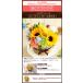 �N�[���֑Ή� �� �a���� �v���[���g �� �t�����[�A�����W�����g �t�����[�P�[�L �A�j�o�[�T���[�M�t�g �Ђ܂�� ���� ���� �L�O�� ���j�� ���� �֘A�摜3