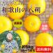 2026 год предварительный заказ начало . для бытового использования Wakayama. ..( - sak) примерно 5kg. пестициды * иметь машина удобрение культивирование [ бесплатная доставка ]M~2L размер примерно 5kg(. ...16~23 шар ) (fy4)