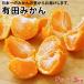 2025 год предварительный заказ начало внутри праздник . подарок низкий пестициды, природа. мульти- культивирование . произведение . прекрасный тест .. Arita мандарин S размер 3kg бесплатная доставка мандарин mi can подарок по случаю конца года 