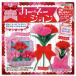 TOYO flower origami carnation Mother's Day handmade present message card attaching 