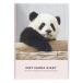 �O���[�e�B���O���C�t 2027�N�Ŏ蒠 �p���_ B6�_�C�A���[ �\�t�g�J�o�[ �E�B�[�N���[�^�C�v CD-1440-PA