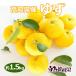 yuzu (..) примерно 1.5kg Kochi префектура производство прямая поставка от производителя бесплатная доставка 