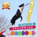  frisbee dog soft for competition flying disk dog for soft throwing . toy toy feed inserting pet upbringing -stroke less motion shortage 