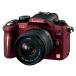 Panasonic цифровой однообъективный камера G2 линзы комплект (14-42mm/F3.5-5. приложен ) комфорт красный DMC-G2K-R