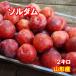  местного производства sumomo soru dam 2 kilo [ бесплатная доставка ][ Yamagata производство ] слива 