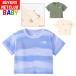  baby футболка 80-90cm органический хлопок скорость . The * North * лицо North Face little b Lee z празднование рождения рождение подготовка мужчина девочка модный уличный bla