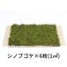 [go-go- распродажа ][ сырой ... сухой мох инструмент для проволоки bgoke] 280mm×580mm 6 листов ввод (1m2) сад структура . бонсай кокэдама geo лама террариум магазин сверху зеленый .koke..