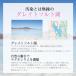 �����Z�x�}�O�l�V�E�� �j���[�T�C�G���X ���K�̔��㗝�X �J���_�������R�u �Z�k�}�O�l�V�E�� �T�v�� �T�v�������g �֘A�摜2