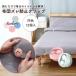  futon смещение предотвращение зажим 12 шт. комплект смещение предотвращение futon фиксация контейнер .. предотвращение futon останавливать одеяло простыня фиксация .. только останавливать . только вставив фиксация фиксация зажим futon ватное одеяло 