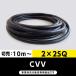 ڳʰ¡CVV 22SQڤ10˥ե顦SFCCHST ѥӥ˥ӥ˥륷֥