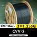 ڳʰ¡CVV-S 21.25SQڤ10˥ե顦SFCCHST ѥӥ˥ӥ˥륷֥ʼա