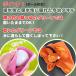 �Ă�Ă�V�� �e�B�[�z���_�[ �{�[���@���^�I�� �J���r�i �e�B�[ �S���t �{�[���P�[�X �����^�I�� �~�j�^�I�� �����_�� �֘A�摜2