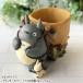  Ghibli goods Tonari no Totoro planter cover to Toro. delivery good ....