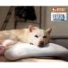 MIMI �Ђ���{�[�� �� �N�b�V���� FUSION �ڐG�⊴ ���p �y�b�g�p�i �s���[ ���{�� �􂦂� ���炳�� ���b�V�� �ʋC�� ������ �ʂ������ ���� ���n �������� �֘A�摜2