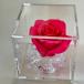  консервированный цветок один колесо crystal rose 6.5cm Cube подарок розовый красный белый голубой день рождения маленький подарок женщина подарок 