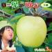  лист ... .. ... автограф [ лист ... яблоко ..3kg premium ].. для (8-10 шар ) Aomori бесплатная доставка [* прямая поставка от производителя поэтому включение в покупку не возможно ][GOLD]