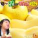  лист ... .. ... автограф [ лист ... яблоко si nano Gold 3kg premium ].. для (8-10 шар ) Aomori бесплатная доставка [* прямая поставка от производителя поэтому включение в покупку не возможно ]