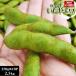  бесплатная доставка Aomori . пестициды .. бобы [... шерсть бобы 250g×10P] Aomori префектура доска . блок ограничение шерсть бобы [... шерсть бобы ][* рефрижератор рейс ][* прямая поставка от производителя ]