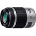 ѥʥ˥å Panasonic ˾󥺡 G X VARIO PZ 45-175mm/F4.0-5.6 ASPH. С H-PS45175-S <ץ쥼ޤ>