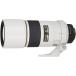Nikon Ai AF-S Nikkor 300mm f/4D ñ������� ���졼 ���� ư���ǧ�Ѥ� 1�����ݾ��� �򴹥��