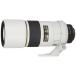 ����š�Nikon ñ������� Ai AF-S Nikkor 300mm f/4D IF-ED �饤�ȥ��졼 �ե륵�����б�