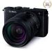 [ новый товар ]Panasonic Panasonic LUMIX S9 высота коэффициент увеличения zoom линзы комплект jet черный (DC-S9H-K)( акция объект товар )