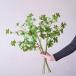  искусственная зелень dou Dan азалия? H65cm 3шт.@ человеческий труд декоративное растение искусственный цветок ветка лист искусственная зелень вход украшение магазин дисплей интерьер? зеленый зеленый настоящий 