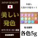 お試し用 粉末顔料 人気の10色セット 各色５g  キャンドル　材料　カラー 顔料　着色