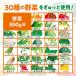 �y�@�\���\���H�i�z�h�{�����^ 1�����̖�� ���p�b�N 200ml 96�{ (24�{�~4�P�[�X) (��������) �֘A�摜5