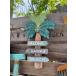  cocos nucifera. дерево гид автограф дерево автограф pa-m tree из дерева табличка # american смешанные товары America смешанные товары . покупка 