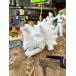  Dulton Dinosaur каркас head (tolikelatops) очки держатель # american смешанные товары America смешанные товары 