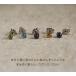 ���`�^�� �Z�J���h�s�A�X �A�����M�[�Ή� �����ςȂ� �V�R�� 4mm �J�{�V���� ���{�� ����0.75mm ����10mm �ԋ��ۏ� ��×p �Ў� 1�� �a���� ������ ���킢�� �֘A�摜2
