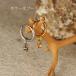 �t�[�v�s�A�X�p �V�R�� �a���� �`���[�� 3mm �A�N�A�}���� �����K�i�C�g �u���[���[���X�g�[�� �s���N�g���}���� �^���U�i�C�g �t���ւ� �C���`�F�� ������� �֘A�摜4