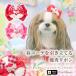  собака аксессуары заколка лента серебристый жевательная резинка гонки оборка Heart объем подарок подарок маленький размер собака ...nanaLB-334