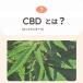 CBD�I�C�� �y�b�g�p 30ml 1.2% ���^�� ���^�� �p CBD 360mg �y���{�e�X�g���ʕt�z CBD OIL for Pets cbd�I�C�� �y�b�g�p �T�v�� CBD �� �֘A�摜2