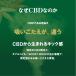 �s�V�����t VAPE NEST CBD�z�� �d�q�^�o�R �x�C�v �|�P�b�g�V�[�V�� ��e��15ml 10000�p�t �j�R�`��0 �^�[��0 THC�t���[ �c�ʕ\�� CBD ���{���� �֘A�摜4