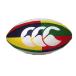 [CANTERBURY] canterbury rugby ball for children rugby toy [AA05815]