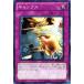 ͷ ֥ / ӥʡǥVol.1BE01 / 󥰥륫