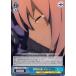  Fate/Grand Order -Хӥ˥- Ȥ ޥ C FGO/S75-095 饯 ǥ  