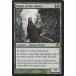 ޥå㥶 ޽ۤѻ/Magus of the Libraryʥ쥢 Ѹ / κ / 󥰥륫 PLC-EN134-R
