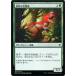 MTG �ޥ��å����������㥶��� ���ߤ�û����(FOIL) ���������(XLN-F202)
