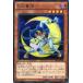 SHVI-JP008 �����ǭ (�쥢) ���� ͷ����