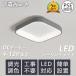 󥰥饤  åѡ饤 ŷ  ƥꥢ ĴĴ led ̲ 6 8 10 12 ⥳դ ĴĴ μ 