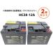 �y2�Z�b�g�z�G�i�W�[�E�B�Y Tuflong ���^����َ����~�d�r(�T�C�N���o�b�e���[) HC38-12A �X�Y�L�Z�j�A�J�[�p �V�j�A�J�[