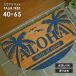  наружный коврик перед дверью niuami коврик PALM TREE 40×65 cm половина иен грязь сбрасывание снег сбрасывание терраса дверь здесь cocos nucifera коврик ... предотвращение скольжения Hawaiian интерьер бесплатная доставка 