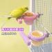  длиннохвостый попугай жердочка приманка inserting поилка 2in1 коготь ..pa-chi птица для жердочка корм inserting вода inserting коготь точить .... уход bird механизм подачи предотвращение скольжения промывание в воде возможность переворачивание предотвращение . покупка 