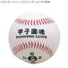  амулет мяч серии ( автограф мяч ) Koshien душа BB78-02