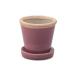 30734g Rossi - pot black currant 